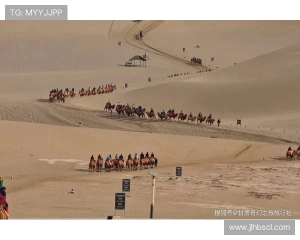 对话周强：回顾足球生涯的辉煌与挑战之路