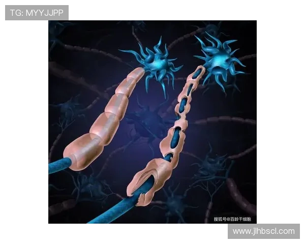 华沙与杜古激战正酣赛果揭晓精彩瞬间回顾与分析